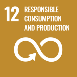 SDG 12 responsibility