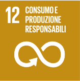 sdg 12