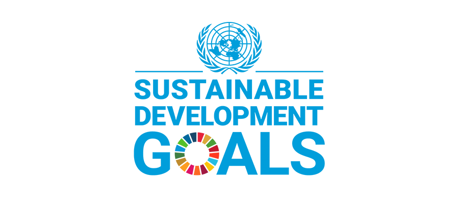 sdg-logo-7